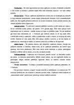 Referāts 'Reklāmas pielietojums tūrisma uzņēmuma darbībā', 34.