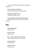 Konspekts 'Litt norsk - mazliet norvēģu valodas', 6.