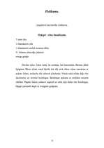 Referāts 'Muzejpedagoģija', 12.