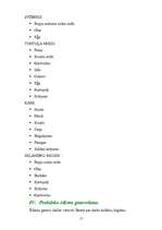 Referāts 'Muzejpedagoģija', 15.