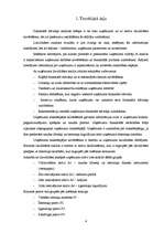 Referāts 'Uzņēmuma X likviditāte un maksātspēja', 4.