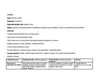 Konspekts 'Rotaļlietu pasaule', 2.