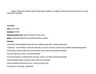 Konspekts 'Rotaļlietu pasaule', 6.