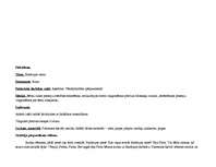 Konspekts 'Rotaļlietu pasaule', 10.