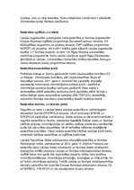 Konspekts 'Ekonomiskā sadarbība Latvijai ar Somiju', 6.