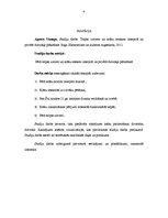 Prakses atskaite 'Telpas uztvere un krāsu ietekme interjerā un privātā dzīvokļa plānošanā', 4.