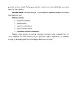 Referāts 'Latvijas Satversmes preambula', 4.