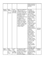 Referāts 'Latvijas Satversmes preambula', 15.