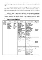 Referāts 'Latvijas Satversmes preambula', 17.