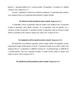 Referāts 'Latvijas Satversmes preambula', 22.