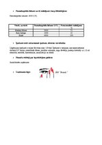 Biznesa plāns 'SIA "Beauty". Skaistumkopšana', 3.