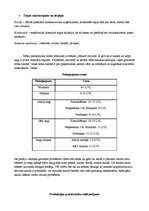 Biznesa plāns 'SIA "Beauty". Skaistumkopšana', 6.