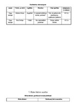 Biznesa plāns 'SIA "Beauty". Skaistumkopšana', 11.