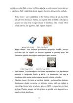 Referāts 'Perifērijas ierīces', 11.