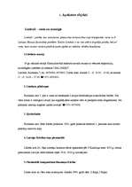 Referāts 'Tūrisma maršruts - Limbažu pasaka', 7.