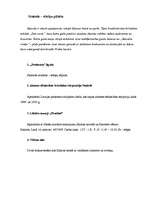 Referāts 'Tūrisma maršruts - Limbažu pasaka', 13.