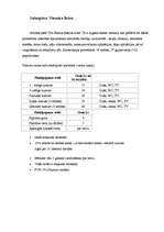 Referāts 'Tūrisma maršruts - Limbažu pasaka', 16.