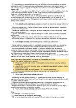 Paraugs 'Audits un revīzija', 4.