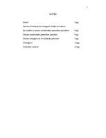 Referāts 'Datoru noziedznieka personības raksturojums', 2.