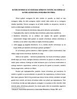 Referāts 'Datoru noziedznieka personības raksturojums', 4.