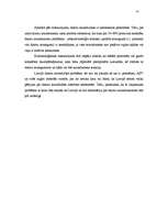 Referāts 'Datoru noziedznieka personības raksturojums', 14.