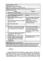 Referāts 'Mācību procesa vērojuma prakses dienasgrāmata', 15.