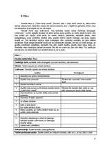 Referāts 'Mācību procesa vērojuma prakses dienasgrāmata', 17.