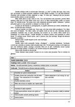 Referāts 'Mācību procesa vērojuma prakses dienasgrāmata', 24.