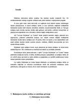 Referāts 'Maksājumu kartes un darbības ar tām', 3.