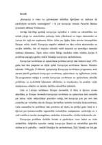 Referāts 'Korupcijas analīze', 1.