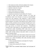 Referāts 'Korupcijas analīze', 20.