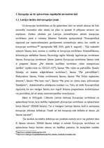 Referāts 'Korupcijas analīze', 22.