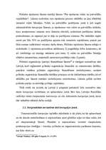 Referāts 'Korupcijas analīze', 26.