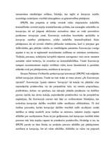 Referāts 'Korupcijas analīze', 28.