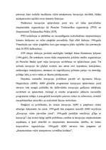 Referāts 'Korupcijas analīze', 29.