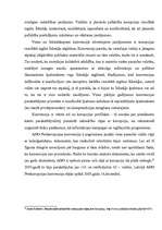 Referāts 'Korupcijas analīze', 32.