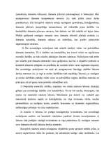 Referāts 'Korupcijas analīze', 37.