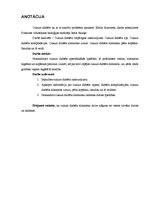 Referāts 'Cukura diabēts unar to saistītās problēmas', 3.