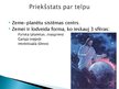 Prezentācija 'Zinātniski filosofiskā domāšana viduslaikos', 4.