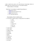 Prakses atskaite 'Tūrisma aģentūra "Tēvzeme". Jauna ekskursijas maršruta izveide', 6.