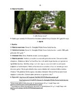 Prakses atskaite 'Tūrisma aģentūra "Tēvzeme". Jauna ekskursijas maršruta izveide', 20.