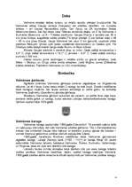 Referāts 'Valmiera', 4.