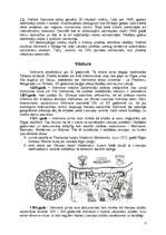 Referāts 'Valmiera', 8.