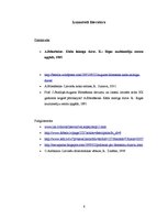 Referāts 'Augusts Bīlenšteins un viņa autobiogrāfija "Kāda laimīga dzīve"', 6.