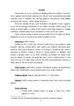 Referāts 'Delfīnu terapija', 3.