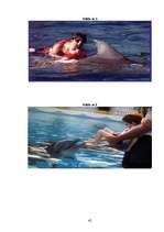 Referāts 'Delfīnu terapija', 40.