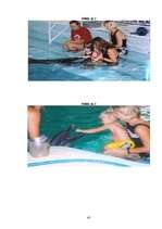 Referāts 'Delfīnu terapija', 41.