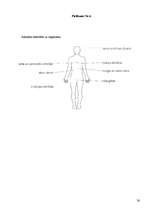 Referāts 'Alkohols jauniešu vidē', 36.