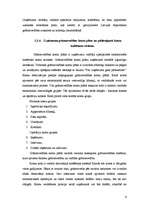 Prakses atskaite 'Grāmatvedības paņēmienu pielietojums', 9.