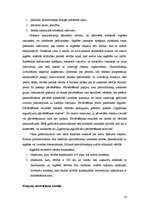 Prakses atskaite 'Grāmatvedības paņēmienu pielietojums', 13.